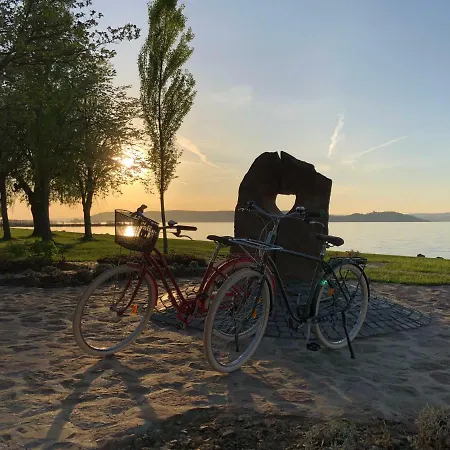 Rkcz40 - Design At The Heart Of Balaton *